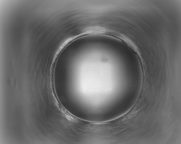 X0000060231488200510281121