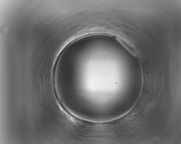 X0000060231527200510281121