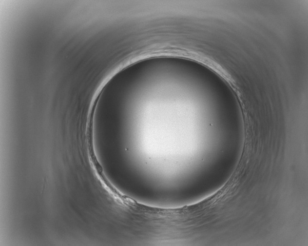 X0000060231536200510281121