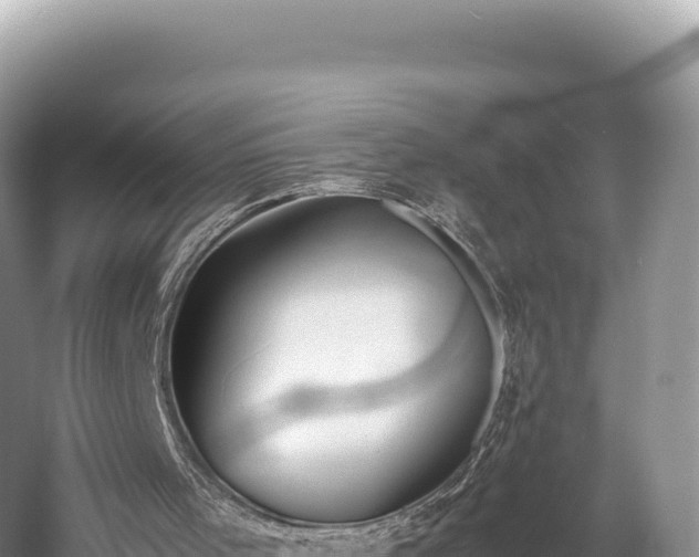 X0000060230001200510311559