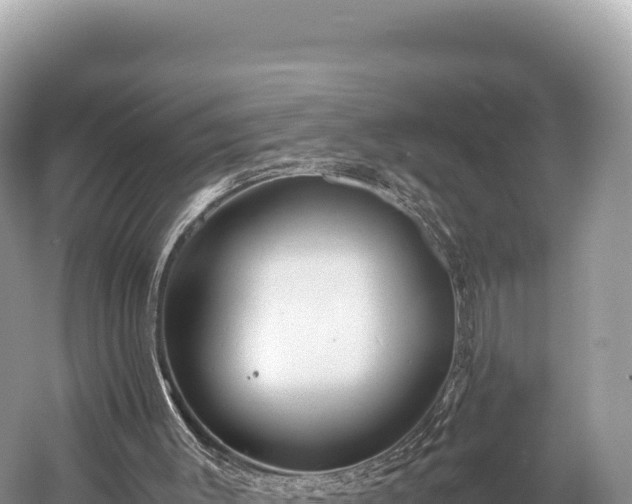 X0000060230003200510311559