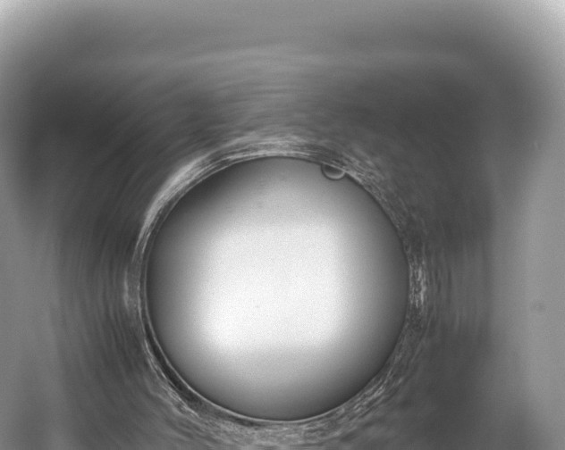 X0000060230004200510311559