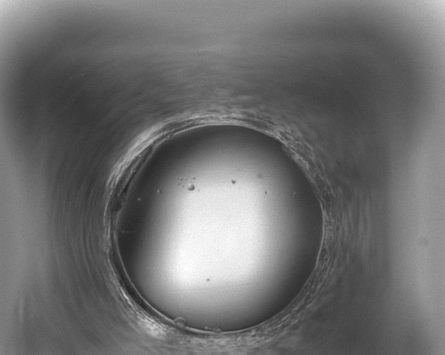 X0000060230005200510311559