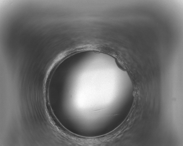 X0000060230006200510311559