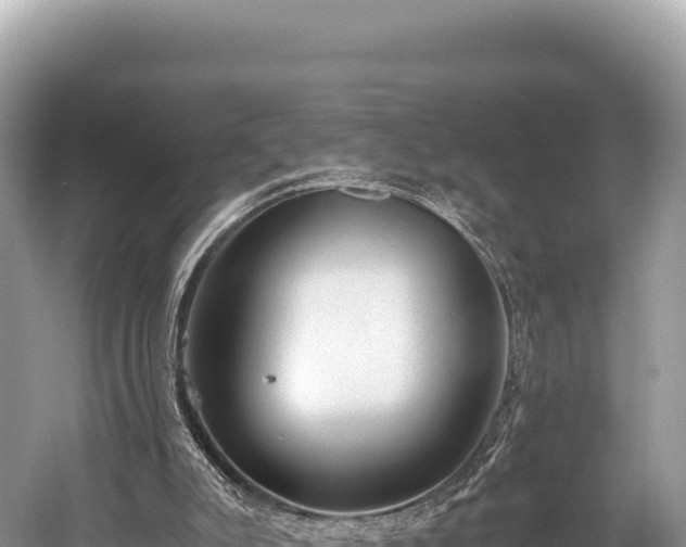 X0000060230007200510311559