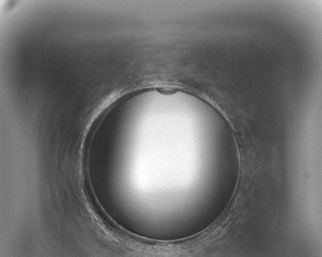 X0000060230008200510311559