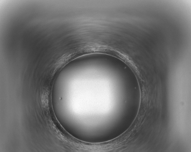 X0000060230010200510311559