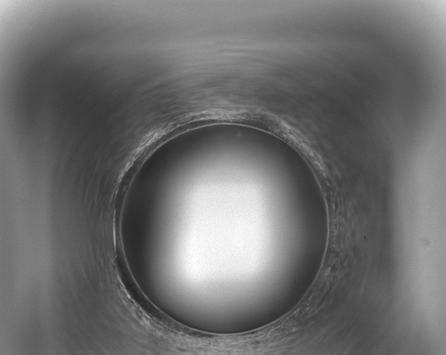 X0000060230011200510311559