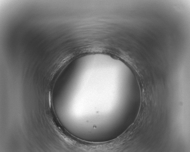 X0000060230013200510311559