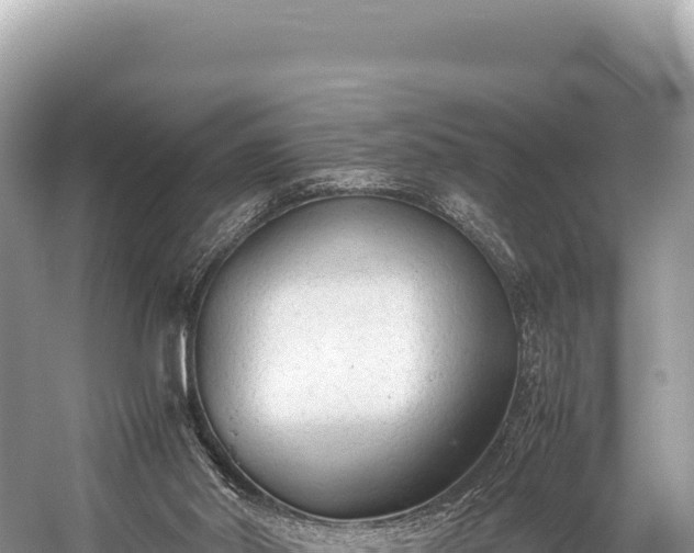 X0000060230014200510311559