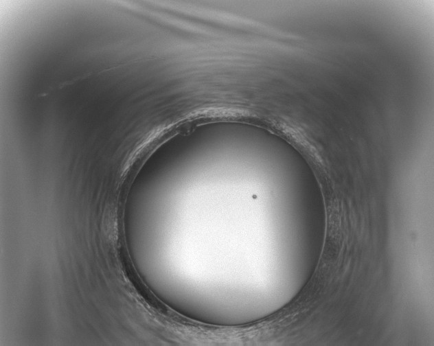 X0000060230015200510311559