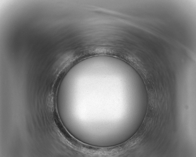 X0000060230016200510311559