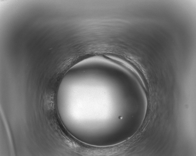 X0000060230017200510311559