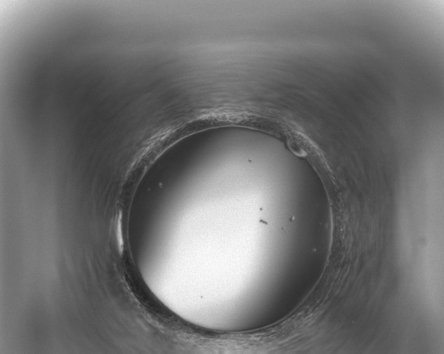 X0000060230020200510311559