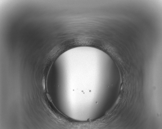 X0000060230021200510311559