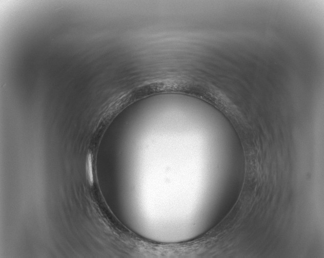 X0000060230022200510311559