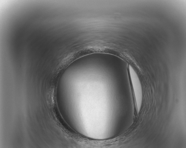 X0000060230023200510311559