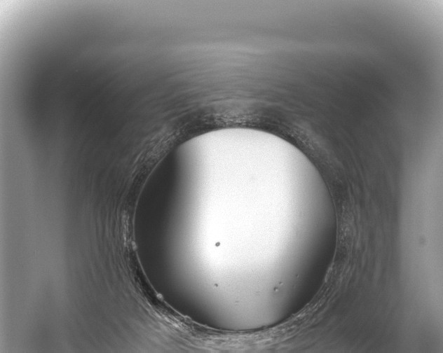 X0000060230025200510311559