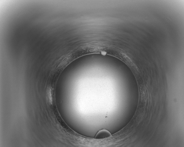 X0000060230026200510311559