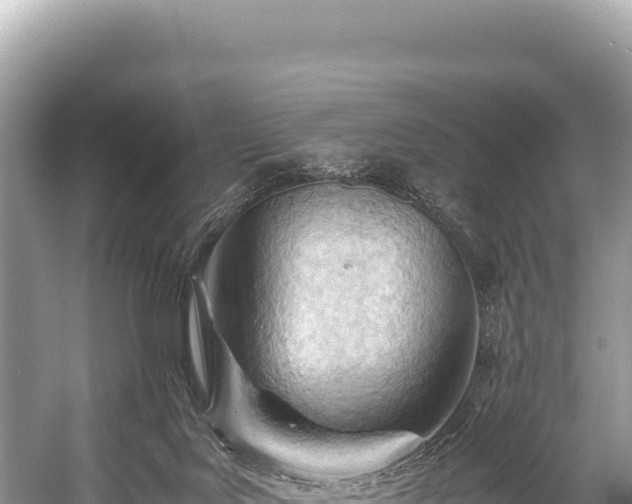 X0000060230027200510311559