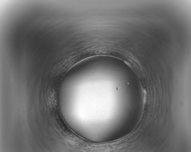 X0000060230029200510311559