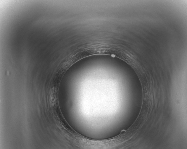 X0000060230030200510311559