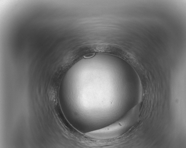 X0000060230031200510311559