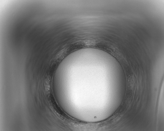 X0000060230032200510311559