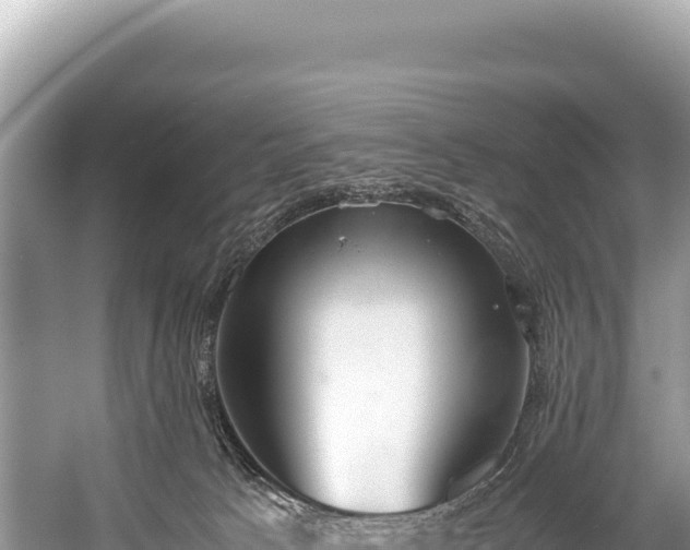 X0000060230033200510311559