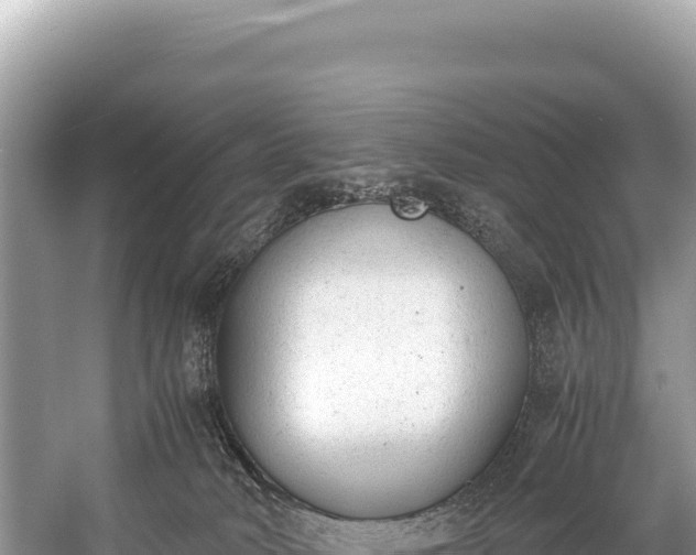 X0000060230034200510311559