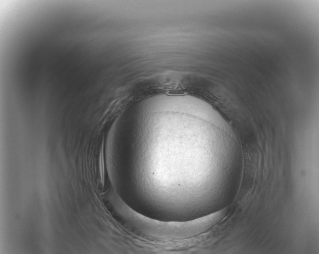 X0000060230035200510311559