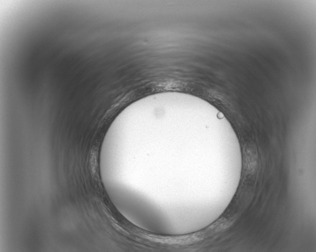 X0000060230036200510311559