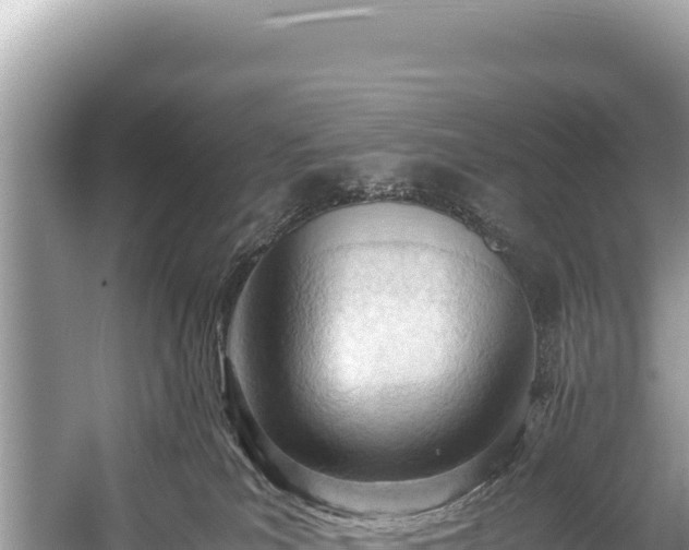 X0000060230039200510311559