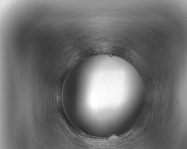 X0000060230040200510311559