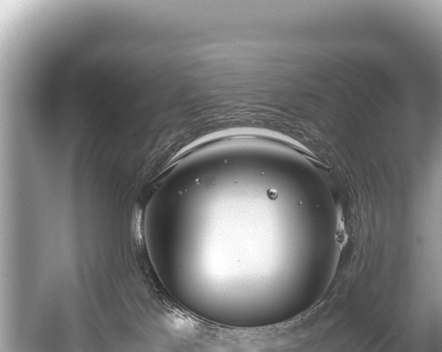 X0000060230041200510311559