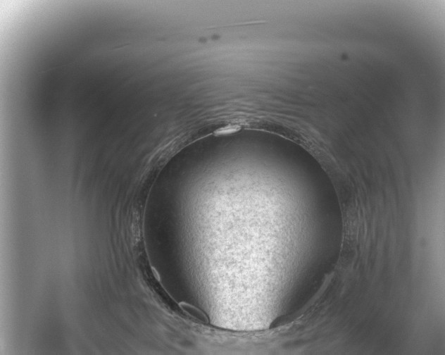 X0000060230043200510311559