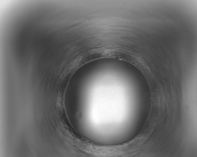 X0000060230044200510311559