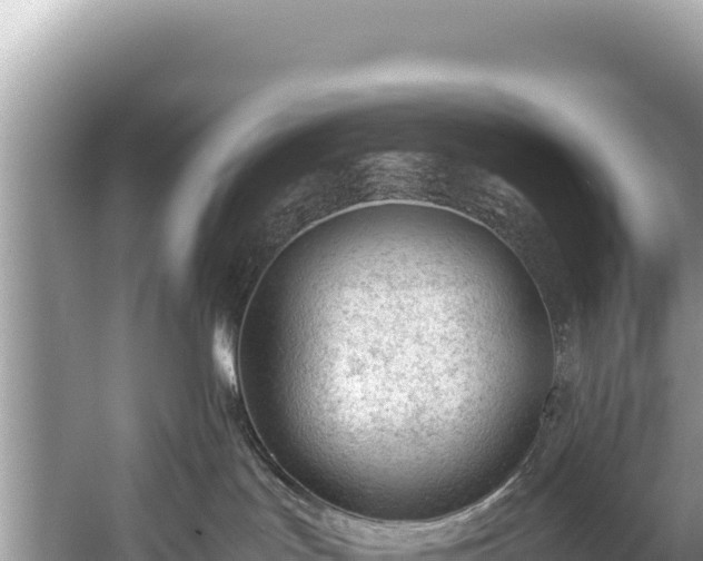 X0000060230047200510311559