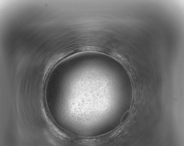 X0000060230049200510311558