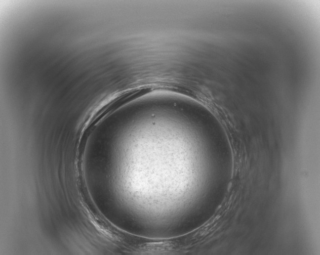 X0000060230050200510311558