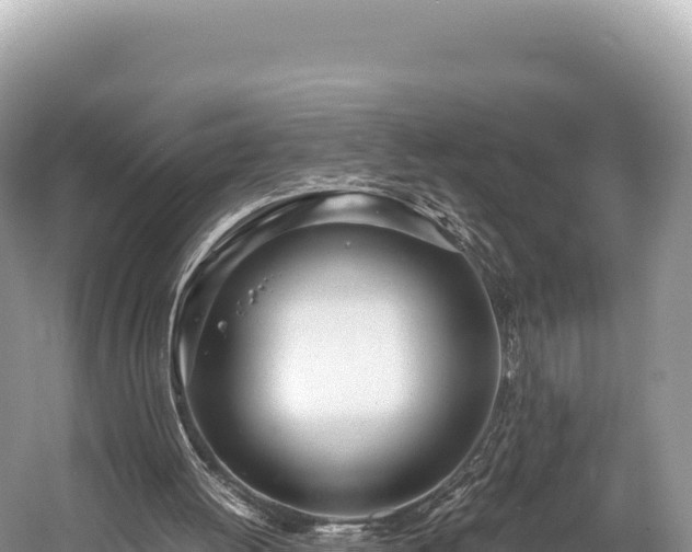 X0000060230052200510311558