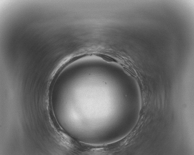 X0000060230054200510311558