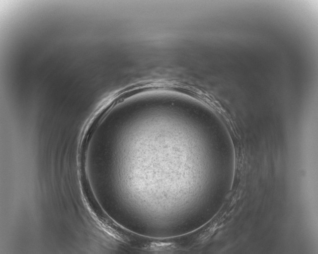 X0000060230055200510311558