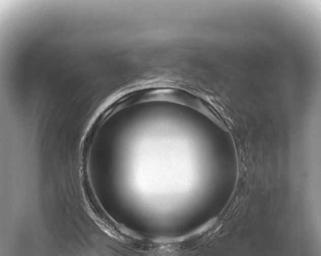 X0000060230056200510311558