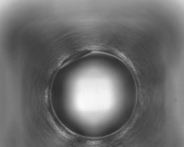 X0000060230057200510311558