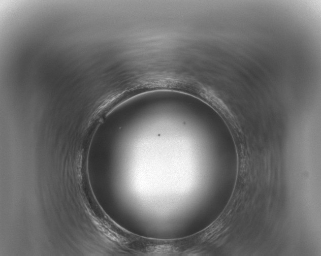 X0000060230058200510311558