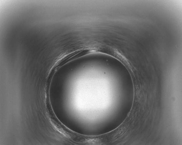 X0000060230059200510311558