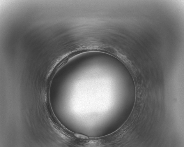 X0000060230060200510311558