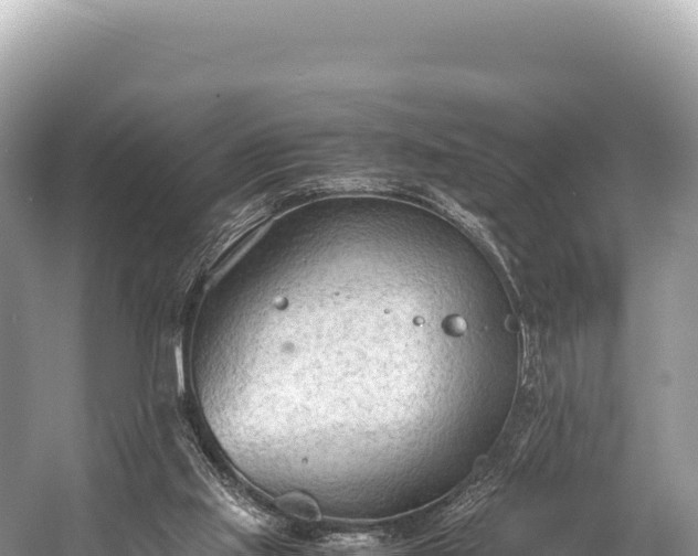 X0000060230061200510311558