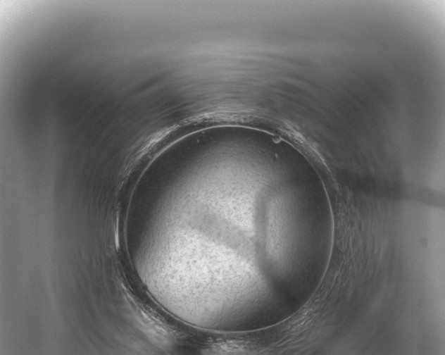 X0000060230062200510311558